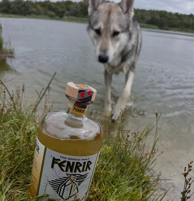 De wolf des huizes houdt de wacht bij het water